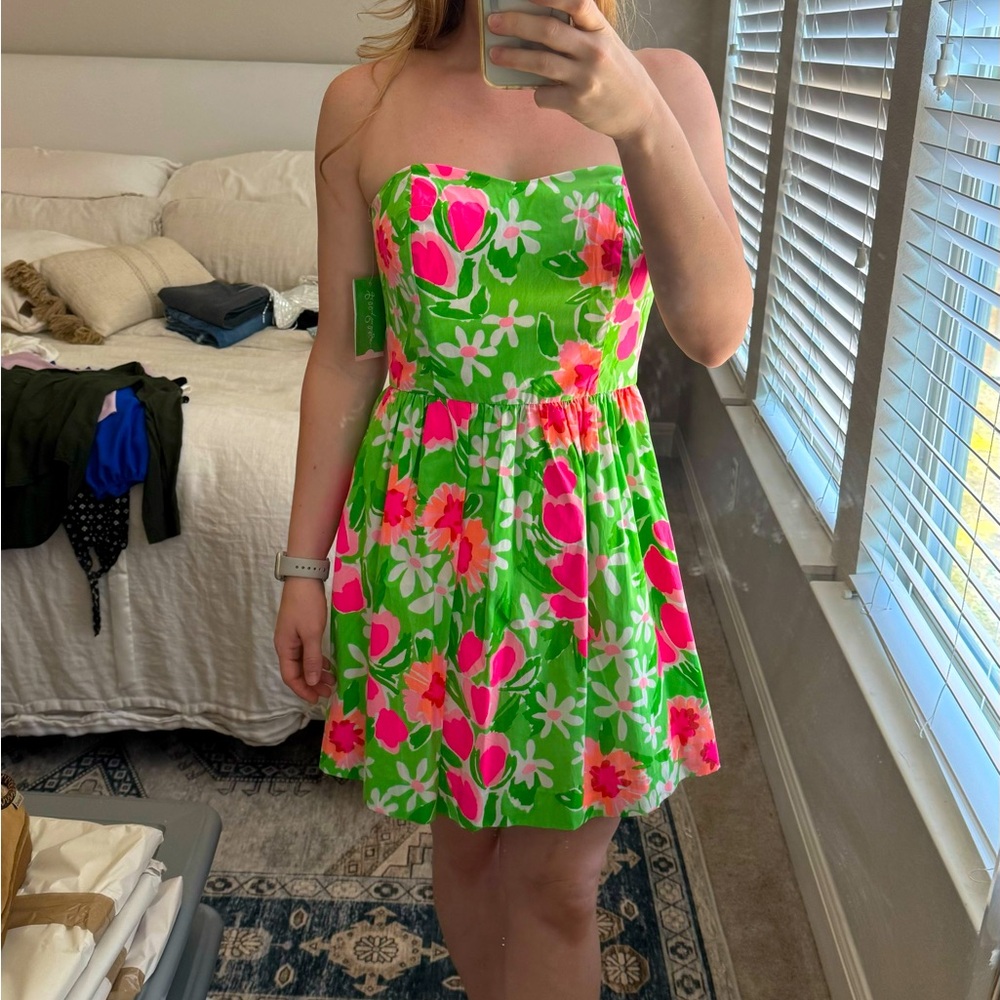 NWT Lilly Pulitzer “Peyton Dress”, New Green, Everything Nice